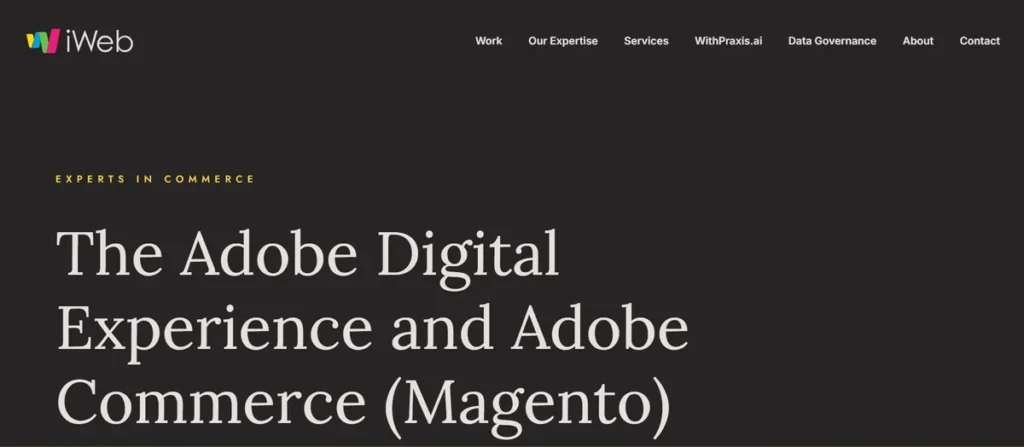 custom bigcommerce development services